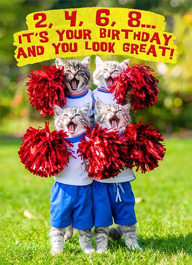 Cats Cheering Funny 5x7 greeting Card Birthday Send someone special a personalized greeting card just in time for their birthday! | cheering cat cheerleaders funny animals 2 4 6 8 pom poms  Happy birthday from your cheering section!